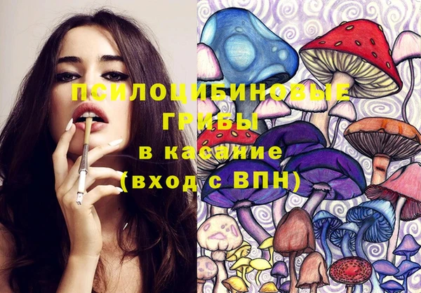 спайс Аркадак