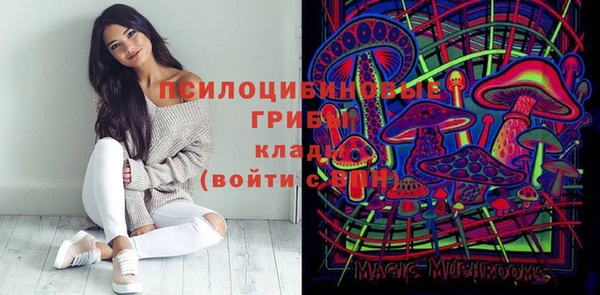 спайс Аркадак