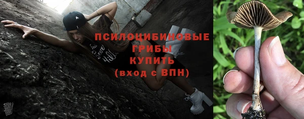 мет Нефтекумск