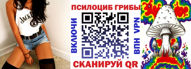 Псилоцибиновые грибы мицелий  наркошоп  Татарск 